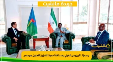 رسميًا.. الرئيس الغيني يحدد أفقًا جديدًا لتعزيز التعاون مع مصر 1